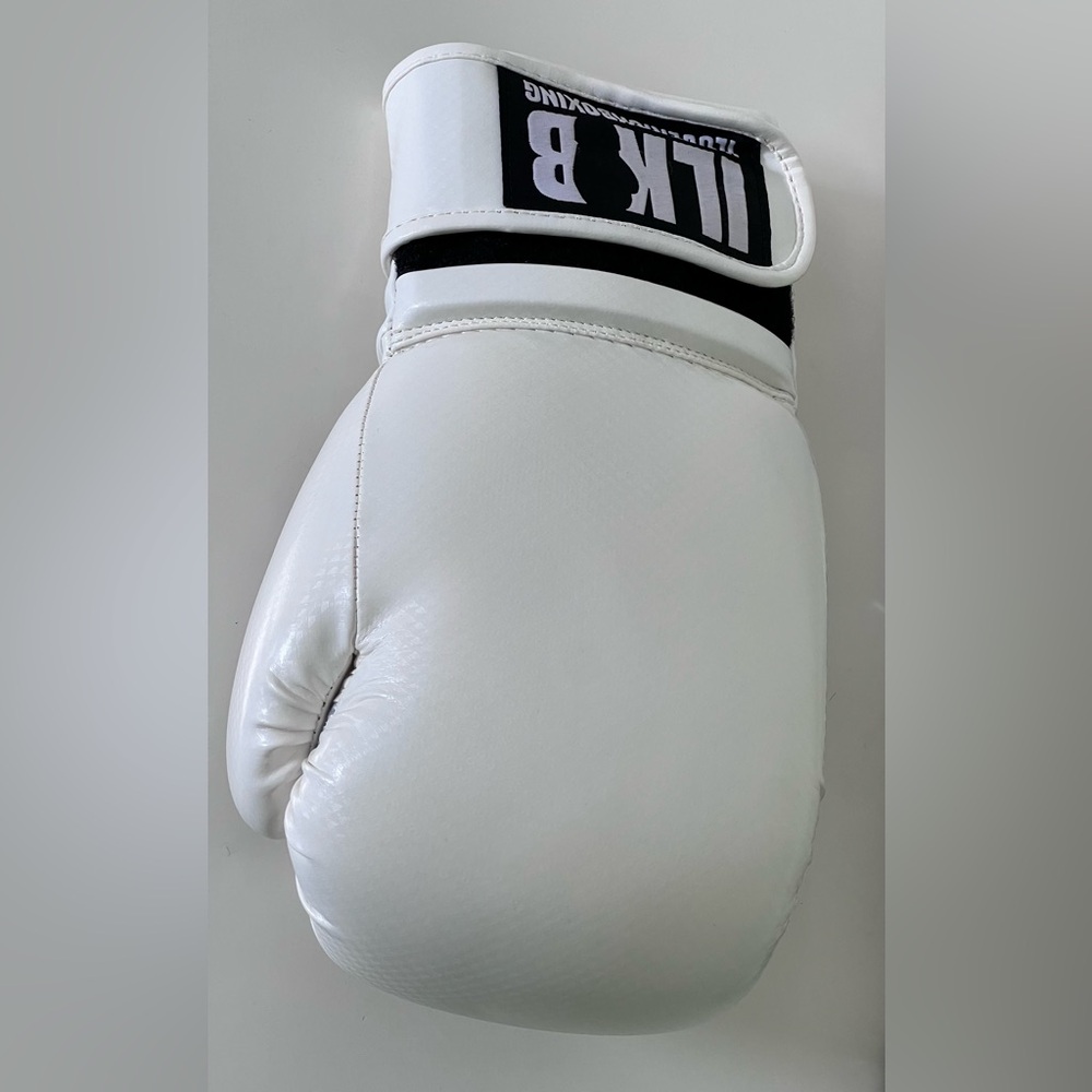 The Carbon KickBoxing Gloves🌸
